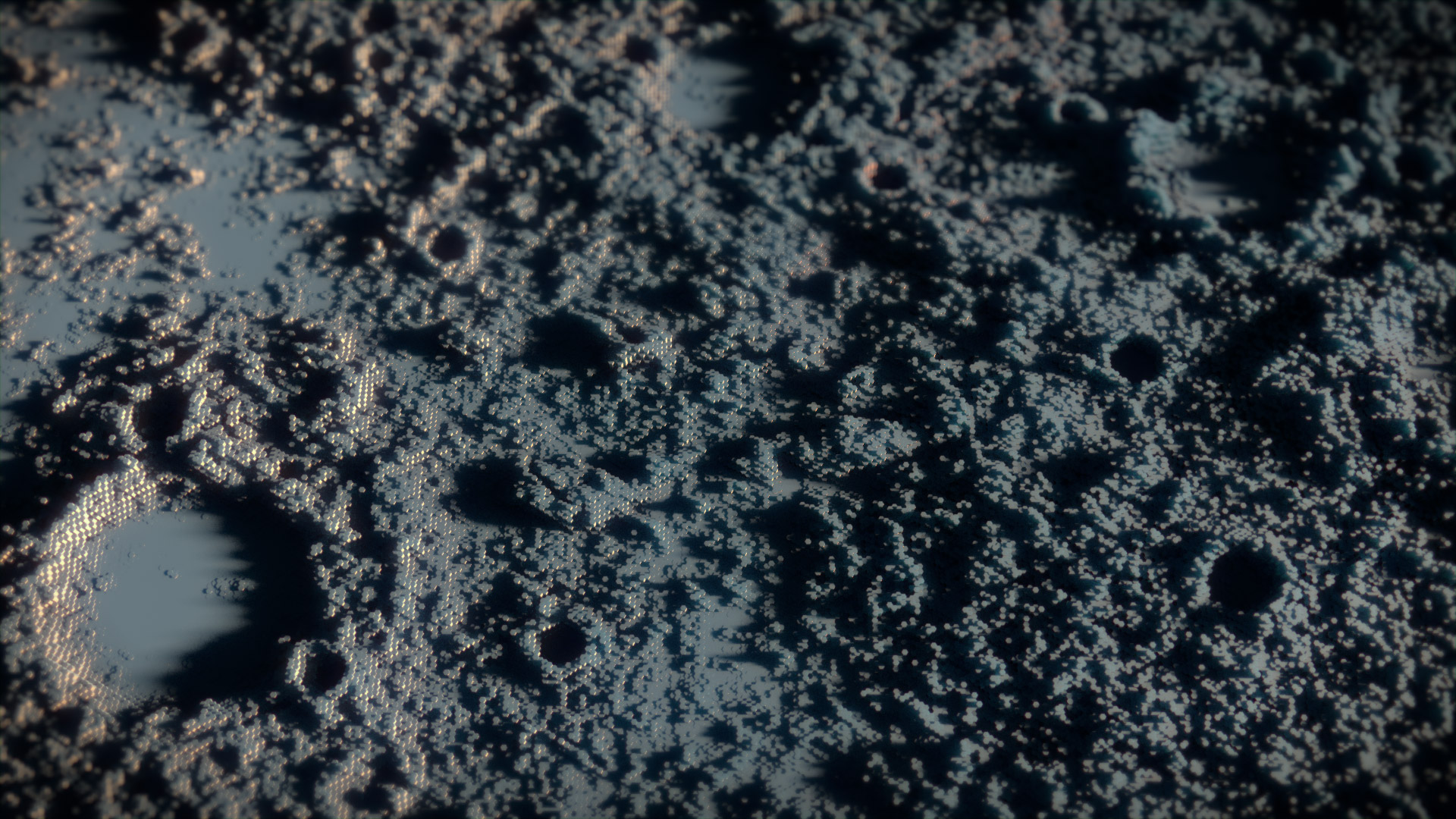 tasi_video_human_exploration_06