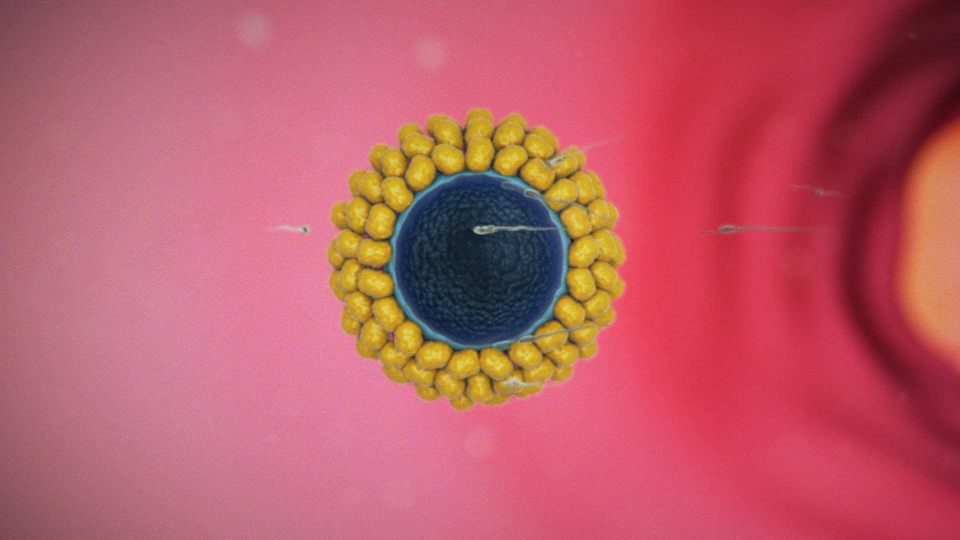 event_planet_filmato_hcg_03