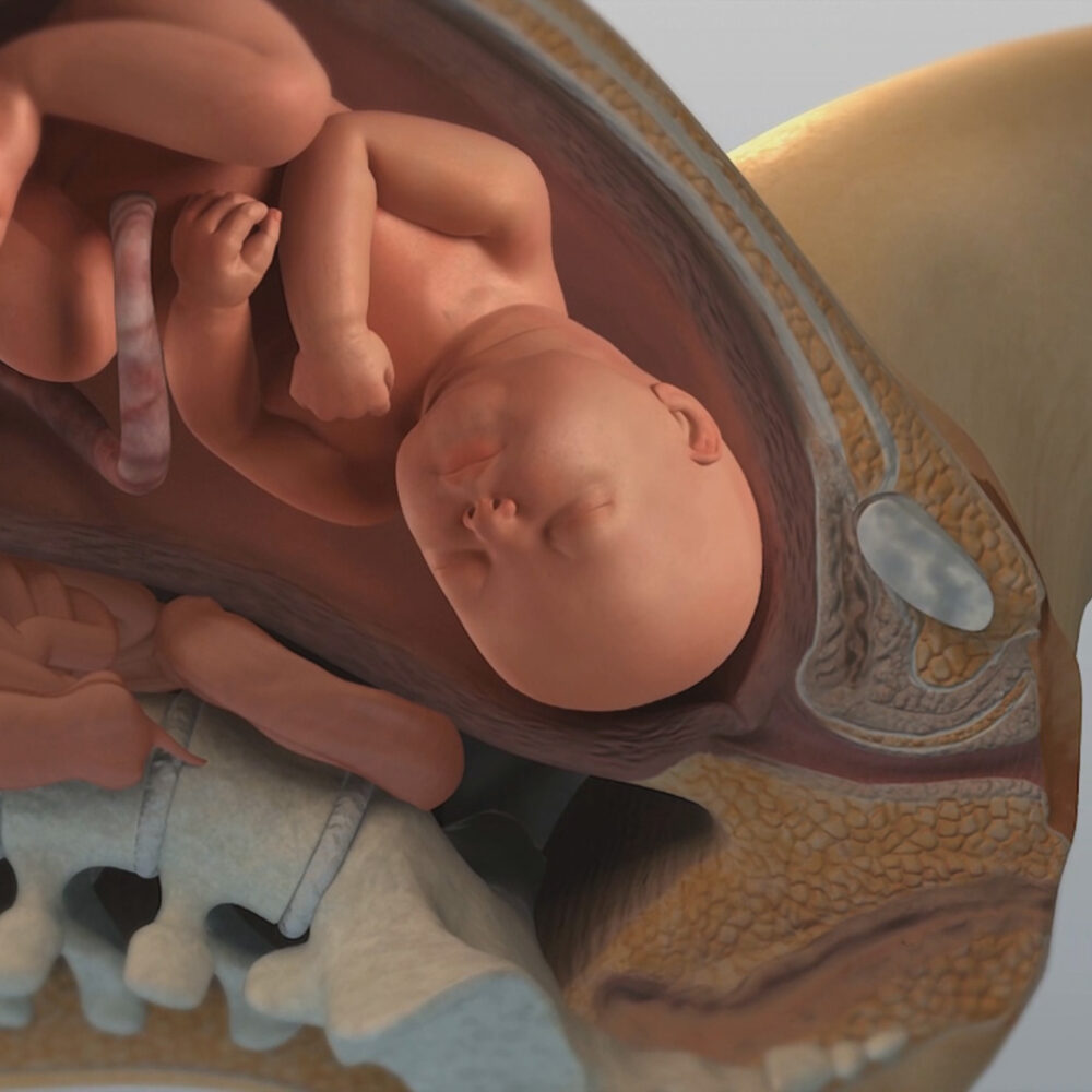 natural-childbirth-006