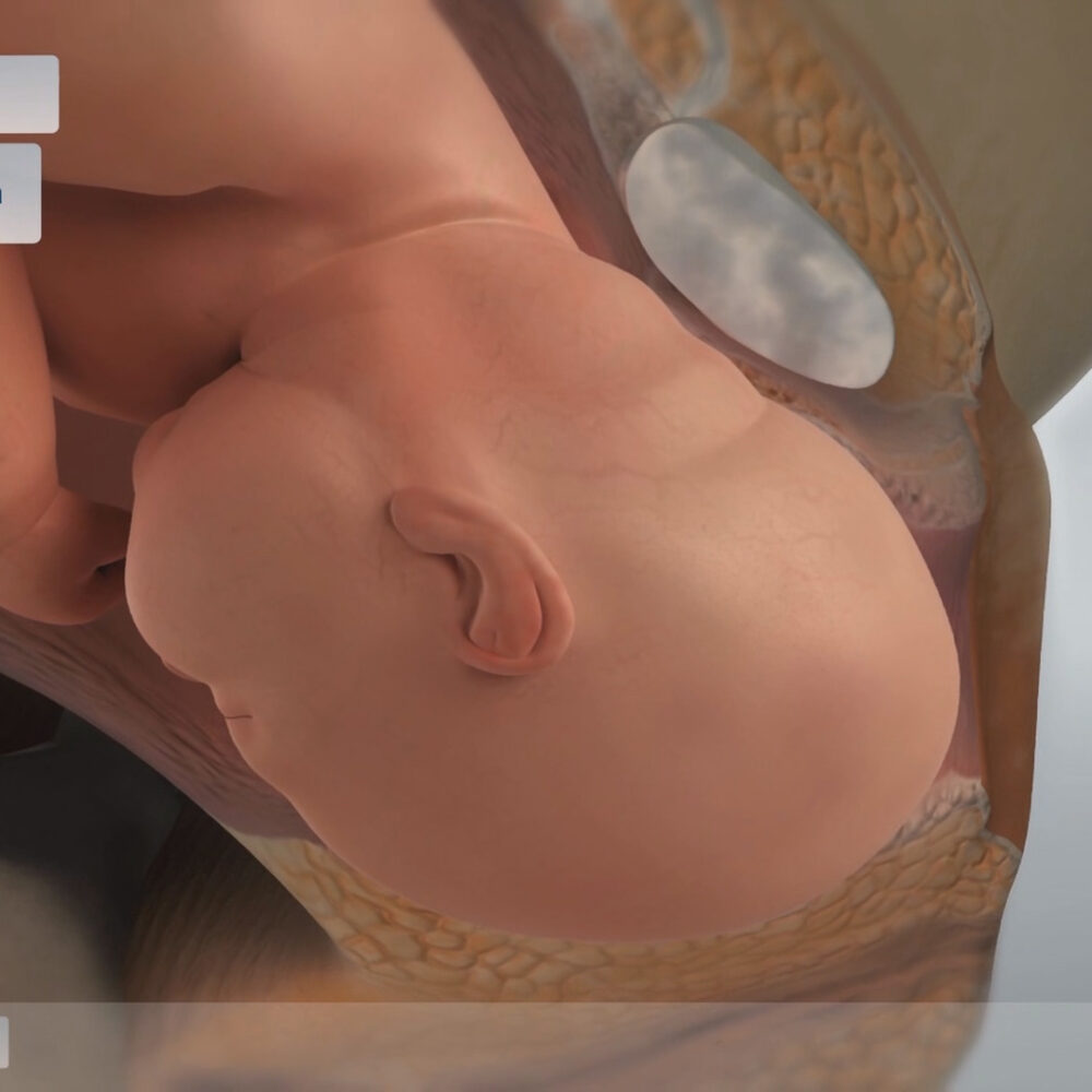 natural-childbirth-013